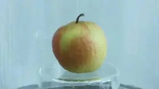 Apple vacuum experiment