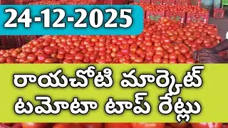 24-12-2025 Raayachoti Market Tomato Rates Today | All Tamato Market Prices | Village Life Tomatos