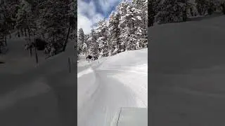 gulmarg road in winter ❤. #snow #snowcovered #road #roadtrip #subscribe #explore #foryou #fortnite