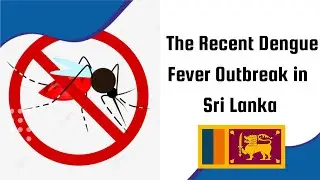 People in Sri Lanka are suffering from DENGUE l The recent Dengue Fever outbreak in Sri Lanka