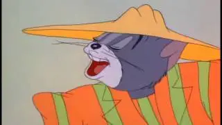 Hip Cat