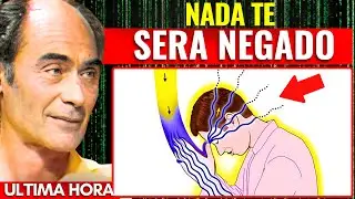 El Universo Pondrá TODO a tus Pies después de ESTO | Itzhak Bentov