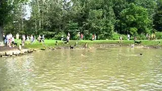 Pawlooza Madness