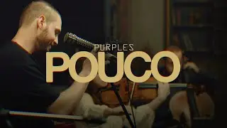 Purples - pouco
