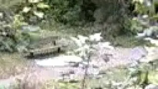 ASHWELL SPRINGS