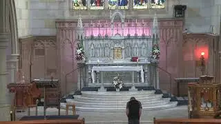 Live Mass at Our Lady of the Sacred Heart Parish, Randwick