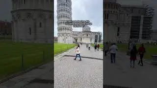 The 