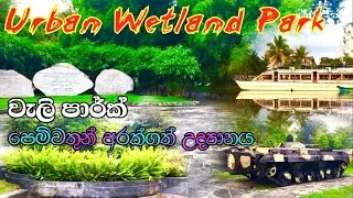 පෙම්වතුන් අරක්ගත් කොලඹ පාර්ක් එකUrban wetland park|වැලි පාර්ක්-නුගෙගොඩ|Roam with ME