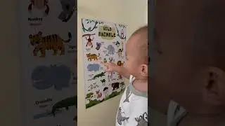 FUNNY #funny#funnybabyvideos#babyboy#funnyshorts#funnyvideos#shorts#short#fyp