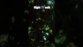 Enjoy Walkingstep🪜#run with life💓#reelitfeelit #reelsinstagram#love #shortfeed #reels#youtubeshor🏃🥰🏃