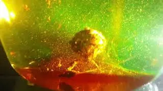 Pour le plaisir des yeux .Diffusion des  booster de Steph sur AntiKreu.