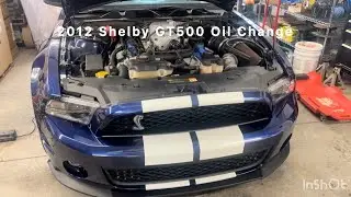 2012 Mustang Shelby GT500 Oil And Filter Change 