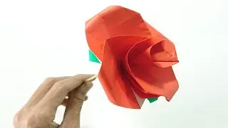 How to Make an Origami Flower Rose easy step by step instructions