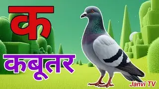 क से कबूतर,ख से खरगोश,अ से अनार,आ से आम, हिंदी वर्णमाला, हिंदी स्वर व्यंजन,#kidsongs ,#kidsvideo 