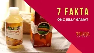 7 FAKTA MENARIK QNC JELLY GAMAT ASLI ORIGINAL (HARGA NAIK)