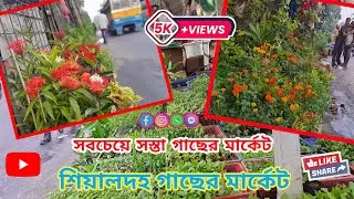 কলকাতার সবচেয়ে সস্তা গাছের মার্কেট ২ টাকা থেকে শুরু Kolkata chipset plant market at sealdah station