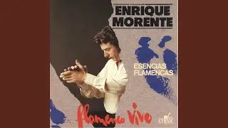Tientos
