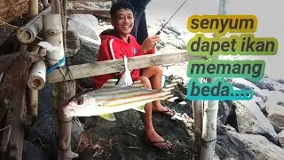spot pantai cucukan gianyar ,pas air pasang hasilnya lumayan joss...#mancingpinggiran #gianyarbali