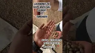 Groundnut nut wholesale business tamil Gujarat  business peanut wholesale business #groundnut