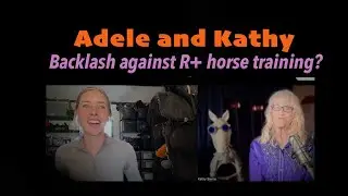 Horsemanship backlash against R+?
