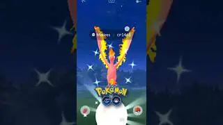 Top Counters for MOLTRES!