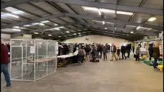 Stafford bird sale 5/12/2021 part1