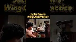A Rare Wing Chun Moment with Jackie Chan#wingchun  #kungfu  #wushu #jackiechan