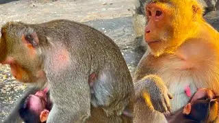 Mother eats food while baby drinks breast milk.