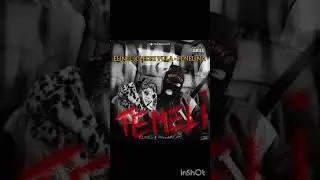 ELINEL X LEDRI VULA - FENELINA [ ALBUM TEMELI ]