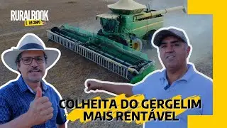 A tecnologia que promete diminuir a perca de grãos na COLHEITA DE GERGELIM, já chegou no Brasil.