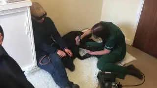 Chaseview Veterinary Clinic - Laser Therapy Testimonial