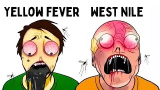 The Most Painful Mosquito-Borne Diseases You Can Die From