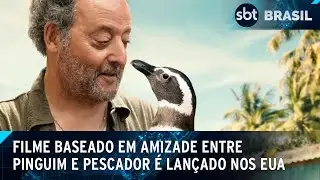 &ldquo;Meu Amigo Pinguim&rdquo; se baseia em hist&oacute;ria que aconteceu no Brasil | SBT Brasil (24/08/24)