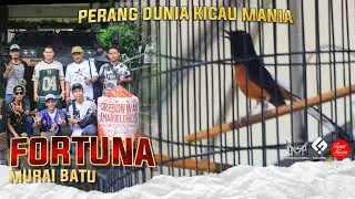 MB FORTUNA TAMPIL PERDANA KELUAR KOTA BEKASI, HASIL NYA SANGAT MEMUASKAN‼️ AMR SF CIREBON WANI
