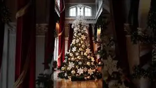 Short christmas 11