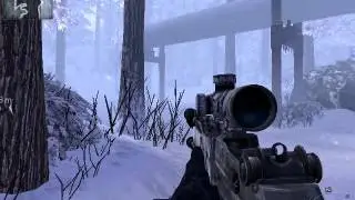 Call Of Duty Mod War 2 Evansion