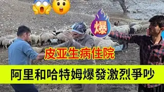 阿里和哈特姆爆发激烈争吵，皮亚生病住院。伊朗女人米娜纪录片最新后续