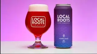 Local Roots Purple Haze Hard Kombucha (Beer Reivew) #3