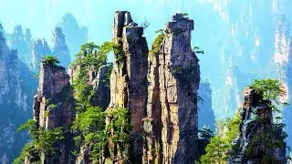 Ce parc, c'est la planète d'Avatar en vrai ! - ZAPPING NOMADE