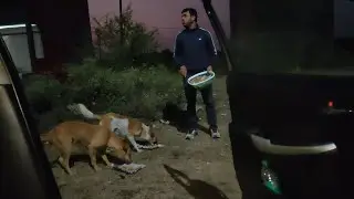 Happy Lohri | VLOG # 236 | Romeo Labrador | Life with Romeo Labrador