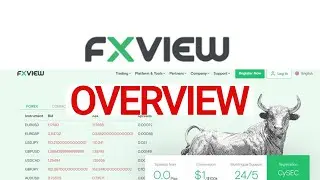 FxView OVERVIEW