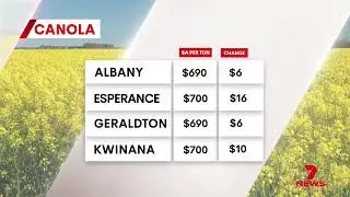GWN7 market update Friday 12 December 2025