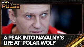 Russia: Alexei Navalny's life in 'polar wolf' remote Arctic penal colony | WION Pulse