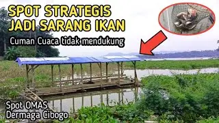 SPOT STRATEGIS TAPI IKAN NYA SADIS || MANCING CIRATA