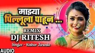 माझ्या पिल्लूला पाहून | MAJHYA PILLULA PAHUN | Trending DJ Song 2025 | DJ KDM | Kishor Jawale KK