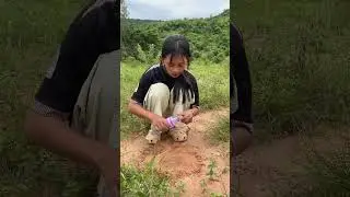 Grow Garden  Smart Ideas, WoW Girl found the way to play Balloons again  #balloon #gardeningideas