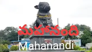 మహానంది( Mahanandi) ( महानदी# नांद्याला जिला) #temple #mahanandi #entertainment #film #traveller  