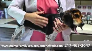 Welcome to Animal Family Vet Care Center of Paris