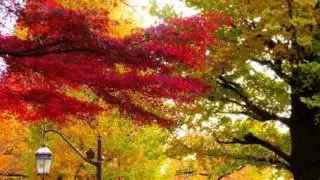 紅葉回廊