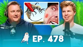 Cow Killer (Ep. 478)